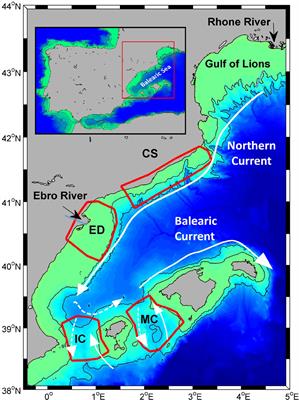 Assessment of the Skill of Coupled Physical–Biogeochemical Models in the NW Mediterranean